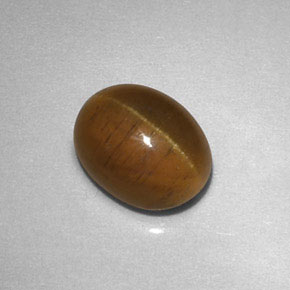 Cat's eye apatite jaune naturelle transparent, 2,85 ct, transparent / translucide