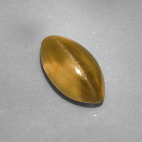 Apatite œil de chat doré verdâtre naturelle transparent, 2,59 ct, transparent / translucide