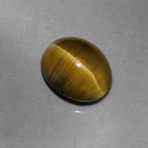 Cat's eye apatite vert naturelle transparent, 1,87 ct, transparent / translucide