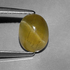 Apatite œil de chat vert doré naturelle transparent, 1,44 ct, transparent / translucide