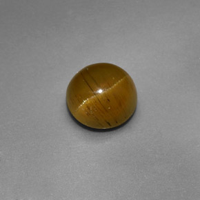 Cat's eye apatite vert naturelle coupe roude, 1,47 ct, translucide
