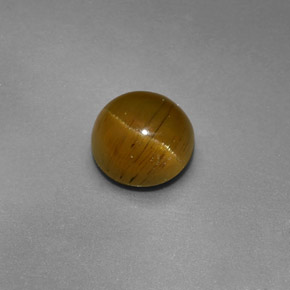 Cat's eye apatite vert naturelle coupe roude, 1,47 ct, translucide