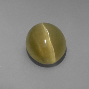 Cat's eye apatite vert naturelle transparent, 4,80 ct, transparent / translucide
