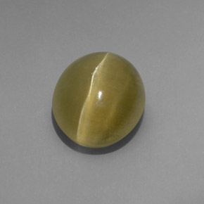 Cat's eye apatite vert naturelle transparent, 4,80 ct, transparent / translucide