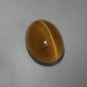 Cat's eye apatite jaune naturelle transparent, 9,54 ct, transparent / translucide