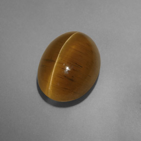 Cat's eye apatite jaune naturelle transparent, 9,54 ct, transparent / translucide