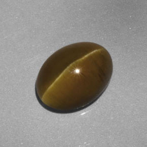 Cat's eye apatite jaune naturelle transparent, 3,52 ct, transparent / translucide