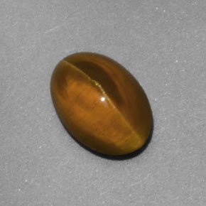 Cat's eye apatite jaune naturelle transparent, 2,02 ct, transparent / translucide