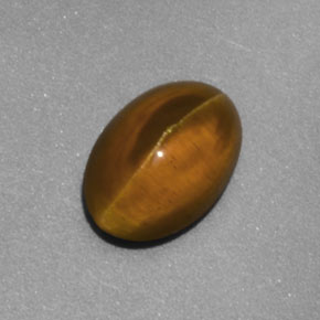 Cat's eye apatite jaune naturelle transparent, 2,02 ct, transparent / translucide