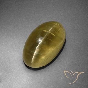 12.95ct Naturel Jaune terreux Oeil de chat Apatite, ovale, Translucide