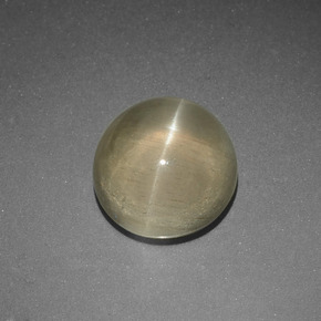 Apatite œil de chat vert jaunâtre naturelle coupe roude, 5,65 ct, translucide