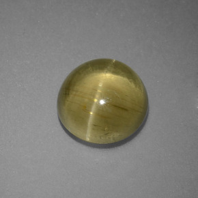 Cat's eye apatite vert naturelle coupe roude, 3,69 ct, translucide