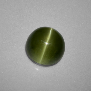 Oeil de chat Apatite Vert jaunâtre naturelle Coupe roude, 2.71 ct, Translucide