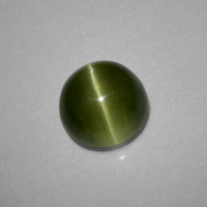 Oeil de chat Apatite Vert jaunâtre naturelle Coupe roude, 2.71 ct, Translucide