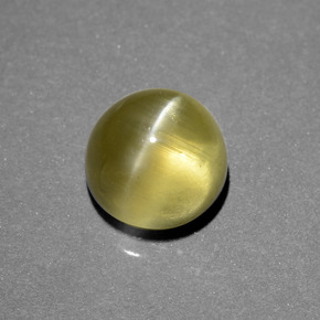 Apatite œil de chat doré verdâtre naturelle coupe roude, 6,34 ct, translucide