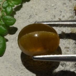 Oeil de chat Apatite Orange naturelle Coupe ovale, 3.16 ct, Translucide