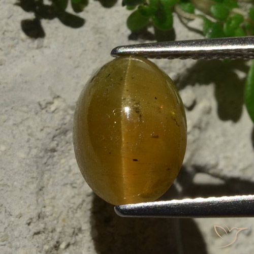 3.64ct Naturel Marron clair Oeil de chat Apatite, ovale, Translucide