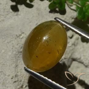 Oeil de chat Apatite Marron clair naturelle ovale, 3.64 ct, Translucide
