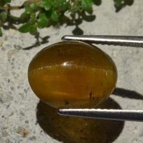 Oeil de chat Apatite Brun moyen naturelle Coupe ovale, 5.80 ct, Translucide