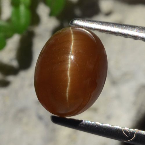 Cat's eye apatite marron naturelle coupe ovale, 2,05 ct, translucide