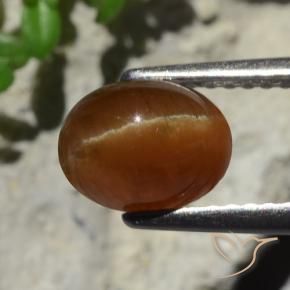 Cat's eye apatite marron naturelle coupe ovale, 2,05 ct, translucide