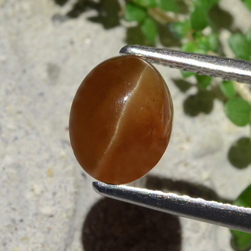 Cat's eye apatite marron naturelle coupe ovale, 1,91 ct, translucide