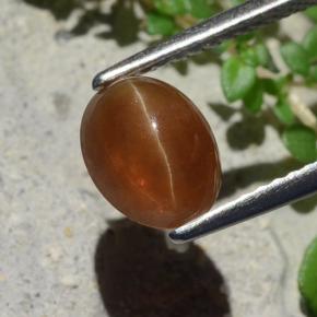 Cat's eye apatite marron naturelle coupe ovale, 1,91 ct, translucide