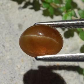 Cat's eye apatite marron naturelle coupe ovale, 1,91 ct, translucide