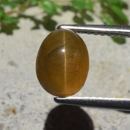 2.89ct Naturel Caramel brun Oeil de chat Apatite, ovale, Translucide