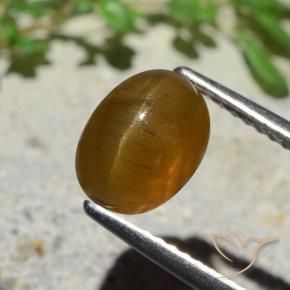 Oeil de chat Apatite Caramel brun naturelle ovale, 2.89 ct, Translucide