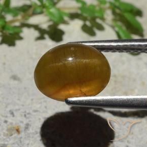 Oeil de chat Apatite Caramel brun naturelle ovale, 2.89 ct, Translucide