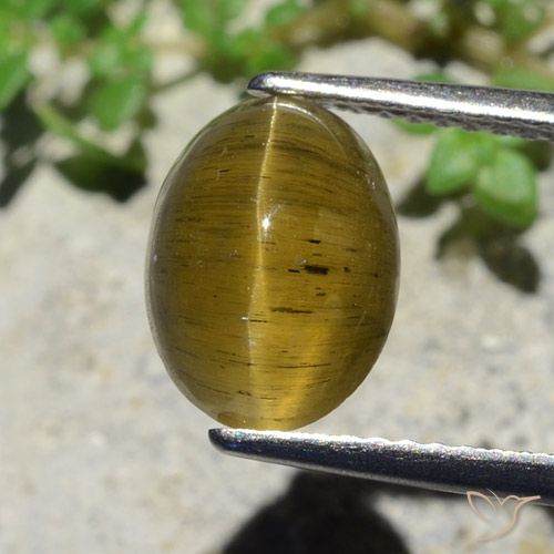 3.38ct Naturel Jaune terreux Oeil de chat Apatite, ovale, Translucide
