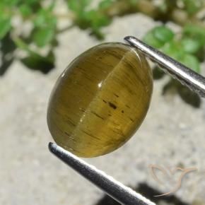 Oeil de chat Apatite Jaune terreux naturelle Coupe ovale, 3.38 ct, Translucide