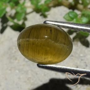 Oeil de chat Apatite Jaune terreux naturelle Coupe ovale, 3.38 ct, Translucide