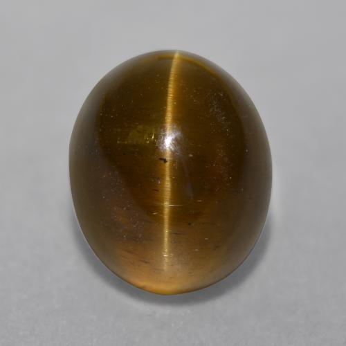 Cat's eye apatite marron naturelle coupe ovale, 7,22 ct, translucide