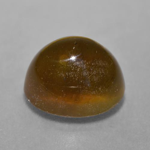 Cat's eye apatite marron naturelle coupe ovale, 7,22 ct, translucide