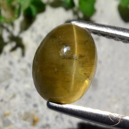 2.12ct Naturel Jaune terreux Oeil de chat Apatite, ovale, Translucide