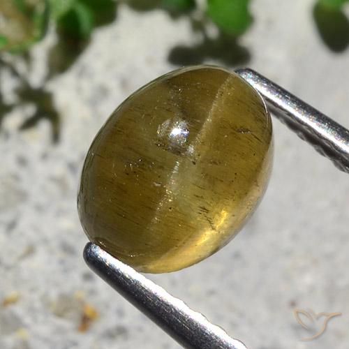 Oeil de chat Apatite Jaune terreux naturelle ovale, 2.12 ct, Translucide
