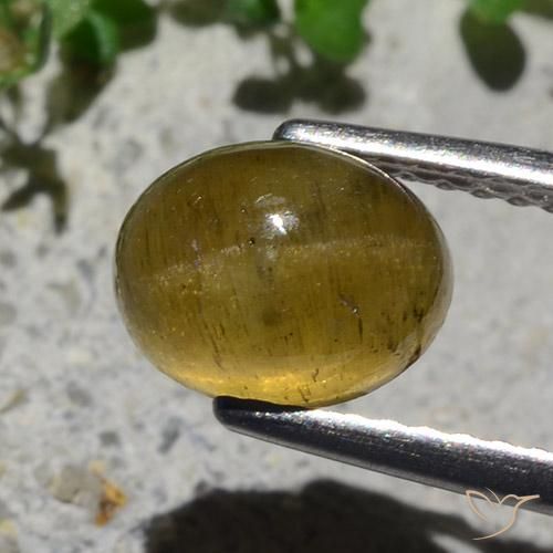 Oeil de chat Apatite Jaune terreux naturelle ovale, 2.12 ct, Translucide
