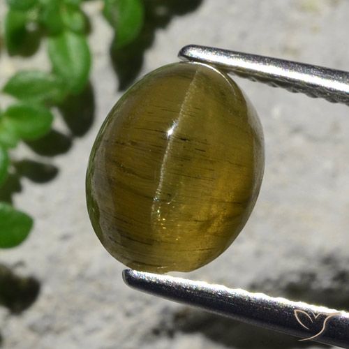 3.23ct Naturel Brun café Oeil de chat Apatite, ovale, Translucide