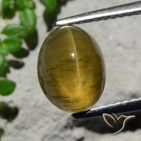 Oeil de chat Apatite Brun café naturelle ovale, 3.23 ct, Translucide