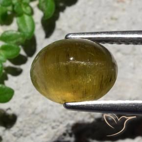 Oeil de chat Apatite Brun café naturelle ovale, 3.23 ct, Translucide