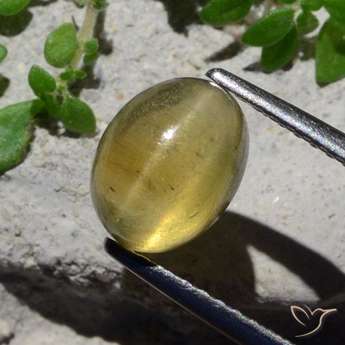 2.38ct Naturel Jaune clair Oeil de chat Apatite, ovale, Translucide