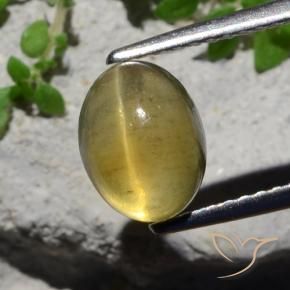 Oeil de chat Apatite Jaune clair naturelle ovale, 2.38 ct, Translucide