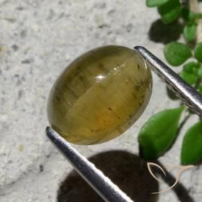 Oeil de chat Apatite Jaune moyen naturelle ovale, 2.16 ct, Translucide