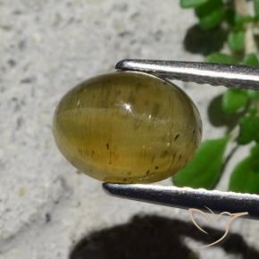 Oeil de chat Apatite Jaune moyen naturelle ovale, 2.16 ct, Translucide