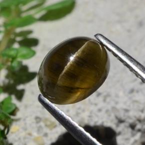 Oeil de chat Apatite Brun moyen-foncé naturelle Coupe ovale, 2.01 ct, Translucide