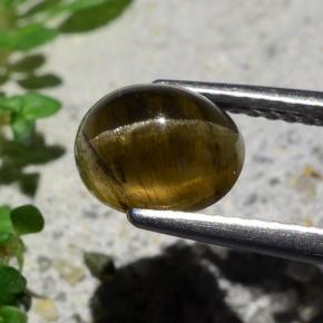 Oeil de chat Apatite Brun moyen-foncé naturelle Coupe ovale, 2.01 ct, Translucide