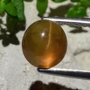 Oeil de chat Apatite Orange naturelle Coupe roude, 2.17 ct, Translucide