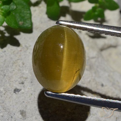 3.87ct Naturel Jaune terreux Oeil de chat Apatite, ovale, Translucide
